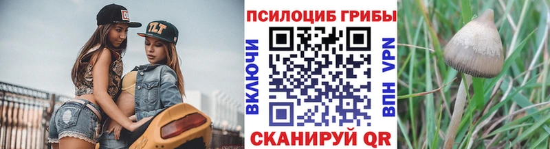 Псилоцибиновые грибы ЛСД  Чкаловск 